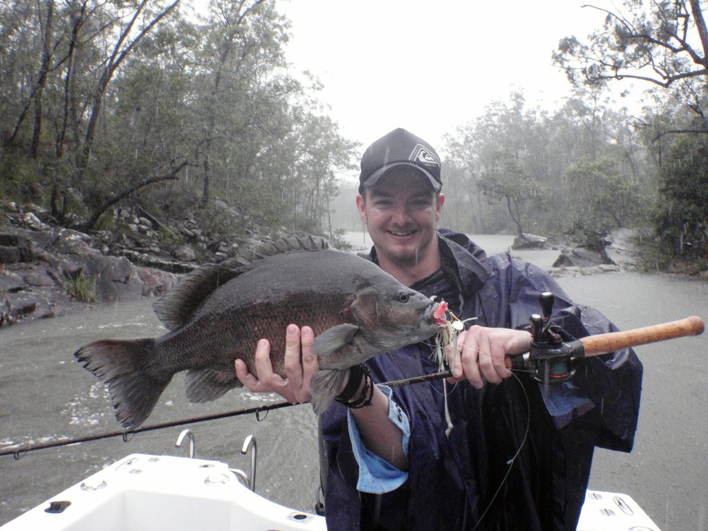 How's that for a fat football of a sooty grunter!  When the rains come these fish go off their heads in the impoundments. - Wet Season Awakening © Lee Brake